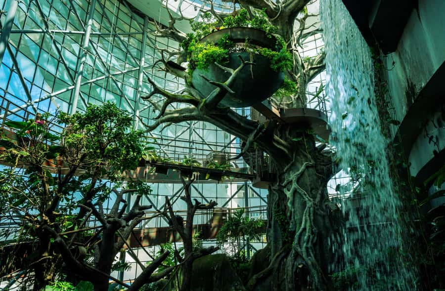 The Green Planet - Dubai's Unique Indoor Rainforest - What makes it educational?