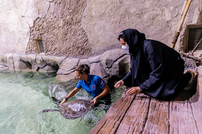 The National Aquarium Abu Dhabi Admission Tickets - The glass-bottom boat option and the stair warning