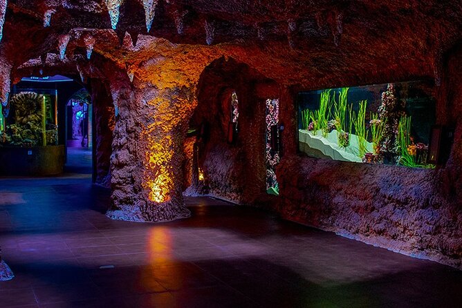 The National Aquarium Abu Dhabi Admission Tickets - Seeing the aquarium at your own pace