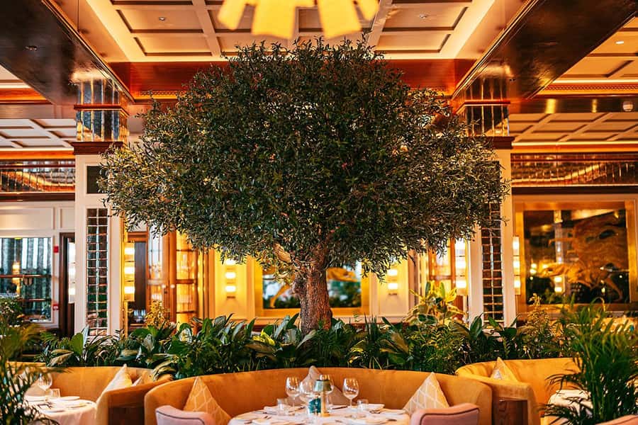 The View Fast Track with an Italian Lunch at Signor Sassi - Fast-track entry at The View at The Palm