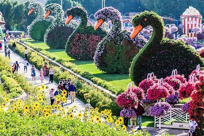 Tickets to Miracle Garden or Butterfly Garden or Global Village - Who should book this experience?