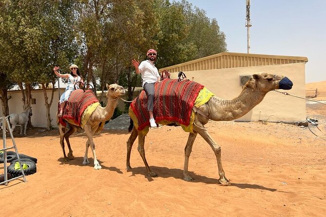 Vip Desert Safari Dubai with Camel Riding BBQ Dinner & Live Shows - What happens at the Al Aweer desert camp