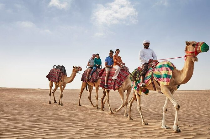 VIP Dubai Sunset Desert Safari: Camel Ride, BBQ, Unlimited Spirit - Camel riding and sandboarding