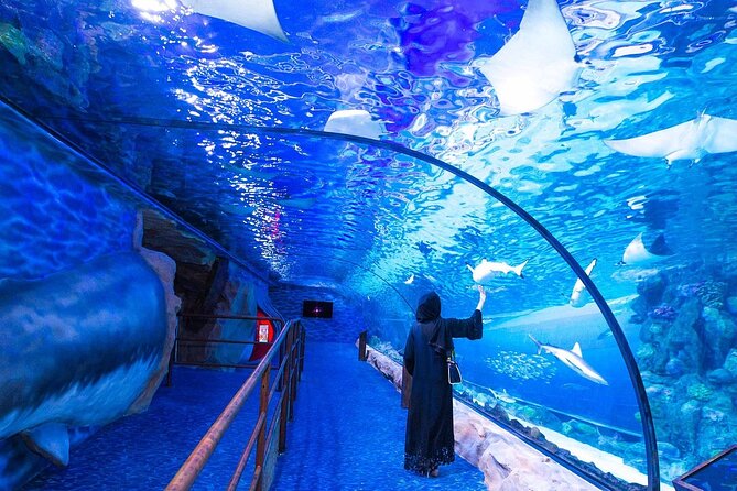 VIP Experience Dubai Aquarium & Underwater Zoo-As per Selection - What you see in the main aquarium tunnel