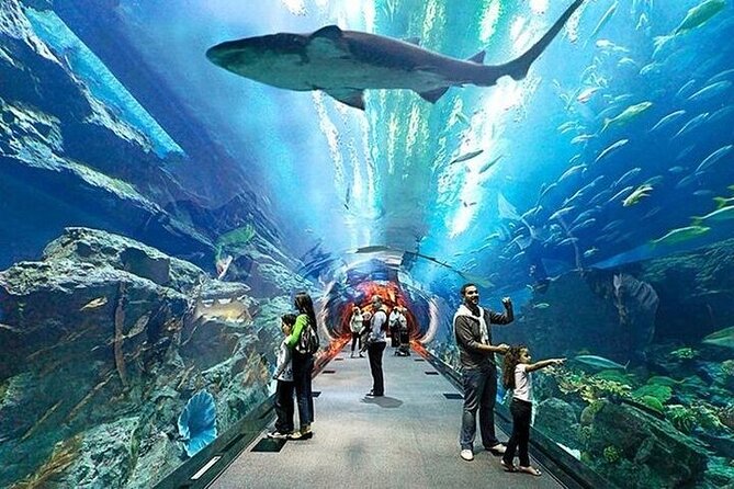 VIP Experience Dubai Aquarium & Underwater Zoo-As per Selection - Who will enjoy it most?